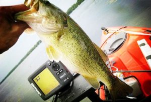 fish finder battery
