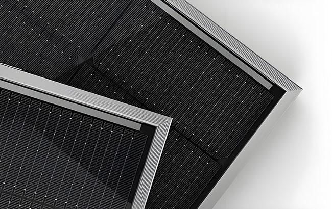Jinko Solar PANELS