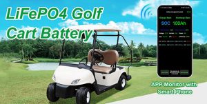 48v golf cart battery