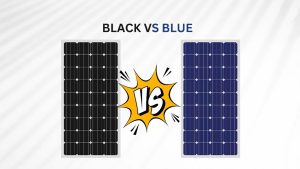 Black vs Blue Solar Panel