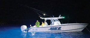 Fishing at Night with light