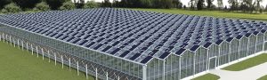 Greenhouse With Solar Panels