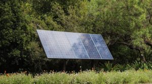 TREES AFFECT SOLAR PANELS